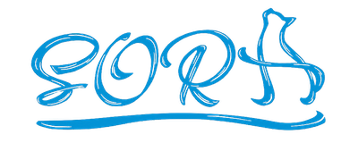 pilates studio SORA 盛岡